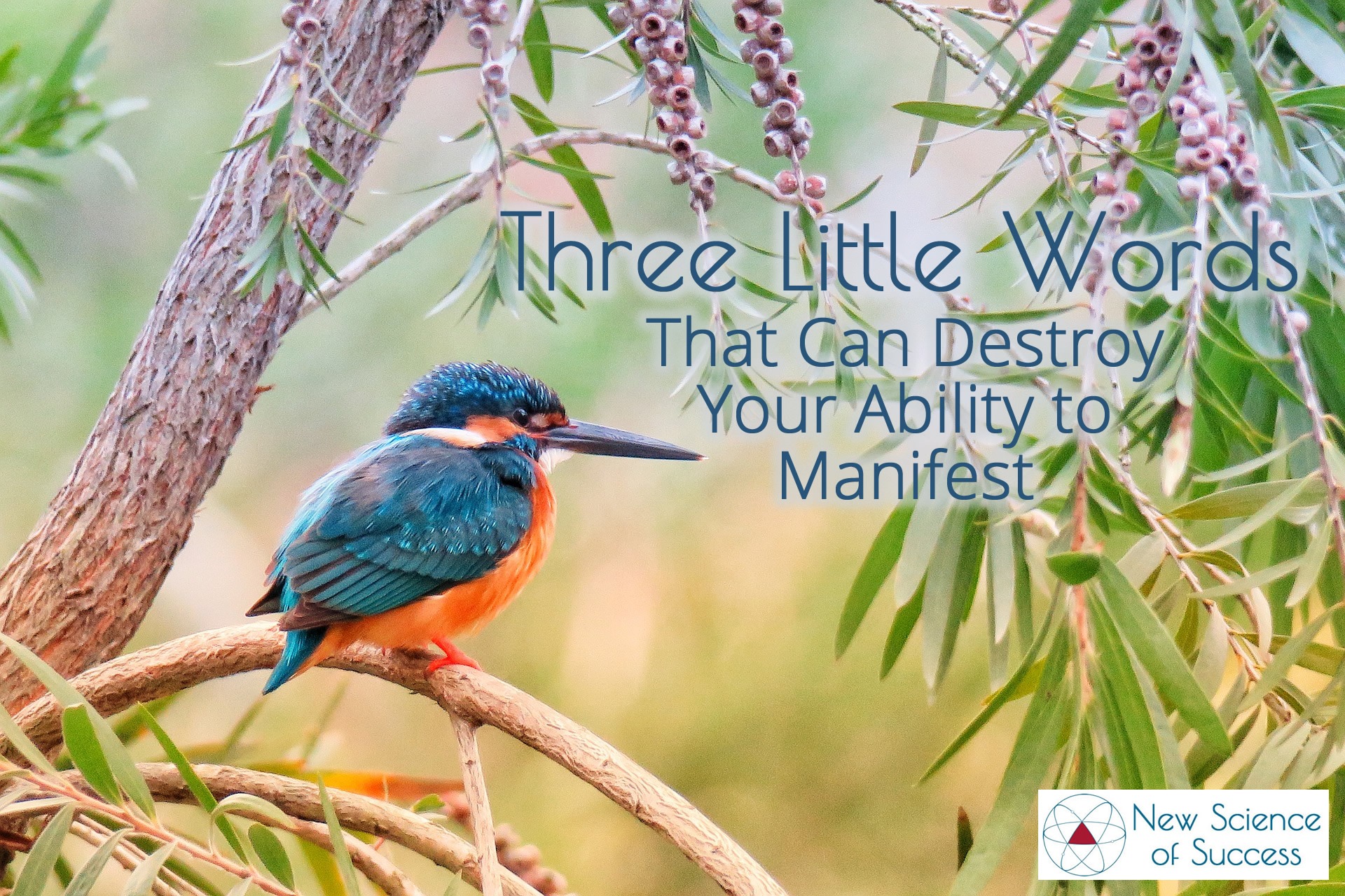 the-three-letter-word-that-sabotages-your-manifesting-with-loa-the